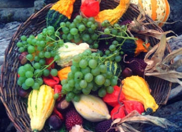 生态农业网站建设解决方案