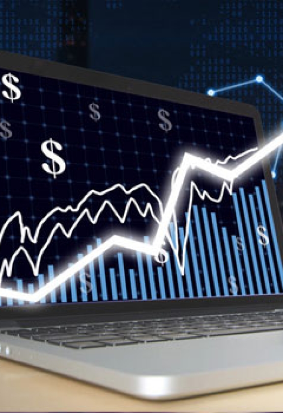 IT软件系统网站建设解决方案