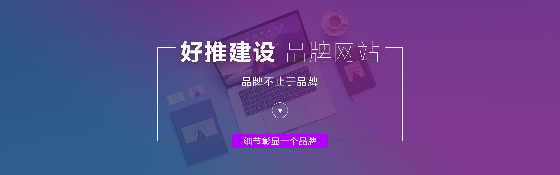 品牌网站