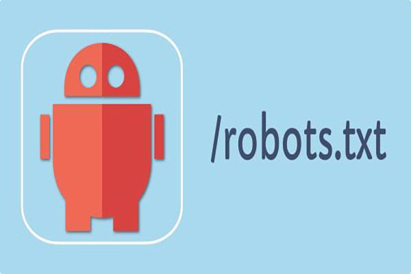 robots.txt正确的写法和存放路径