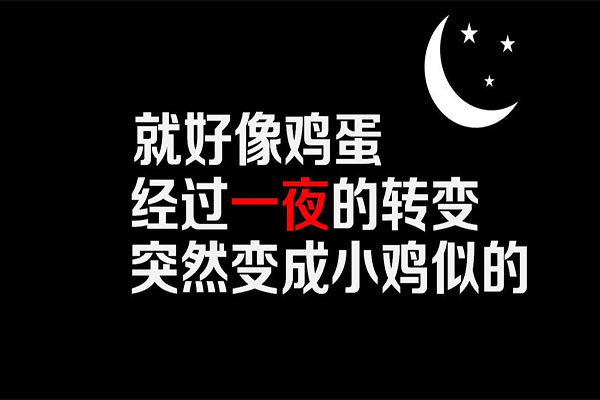 学习SEO技术前必要的五个基本要素
