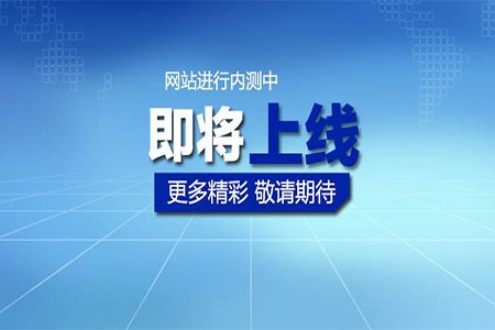 哪些类型的网站不适合使用虚拟主机？