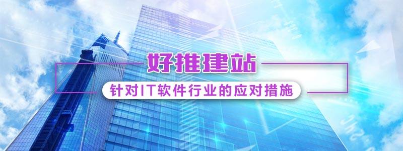 针对IT软件行业的应对措施